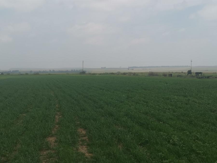 Commercial Property for Sale in Senekal Rural Free State